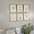 Original Vintage Botanical Prints Framed Set of 6 - Authentic 1953 Prints For Sale - Image 4 of 7