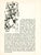 Jackson Pollock 1951 Jackson Pollock Serigraph "No. 10, 1951" For Sale - Image 4 of 5