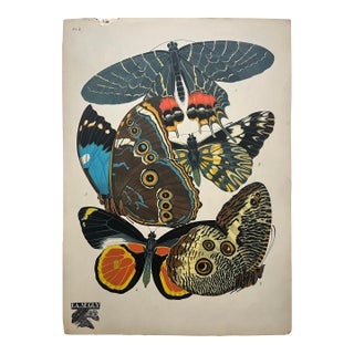 1920s Original E.A. Séguy Butterfly Print(s) From Papillons (No.2) For Sale