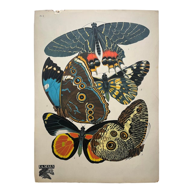 1920s Original E.A. Séguy Butterfly Print(s) From Papillons (No.2) For Sale