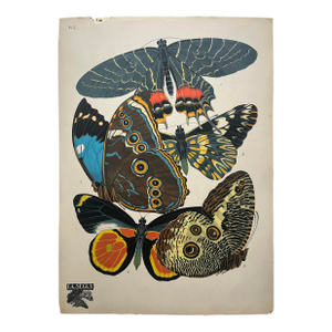 1920s Original E.A. Séguy Butterfly Print(s) From Papillons (No.2)