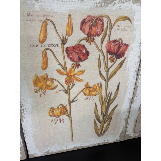 Botanical Canvas Wall Art- Set of 4 For Sale - Image 12 of 12