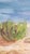 Adriatic Coastal Landscape, 1960s, Oil Painting on Canvas, Framed For Sale - Image 7 of 16
