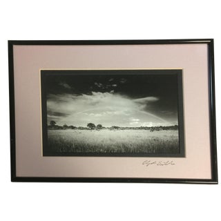 Clyde Butcher Framed Photograph of Florida Savanna For Sale