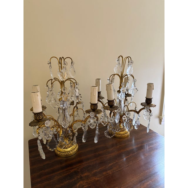 French Provincial Antique French Dore Bronze & Crystal Girandole Candelabra Lamps - a Pair For Sale - Image 3 of 13