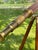 Vintage Fluted Wood and Brass Telescope For Sale - Image 4 of 18
