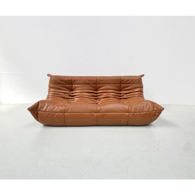 French Togo T3-Seater Sofa in Cognac Leather by Michel Ducaroy for Ligne Roset For Sale - Image 14 of 14