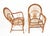 Gold Rattan and Bamboo Armchairs by Franco Albini, Italy, 1960s, Set of 2 For Sale - Image 8 of 11