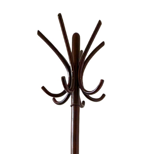Thonet Coat Stand "Perroquet", Attributed to Thonet, Circa 1900 For Sale - Image 4 of 6