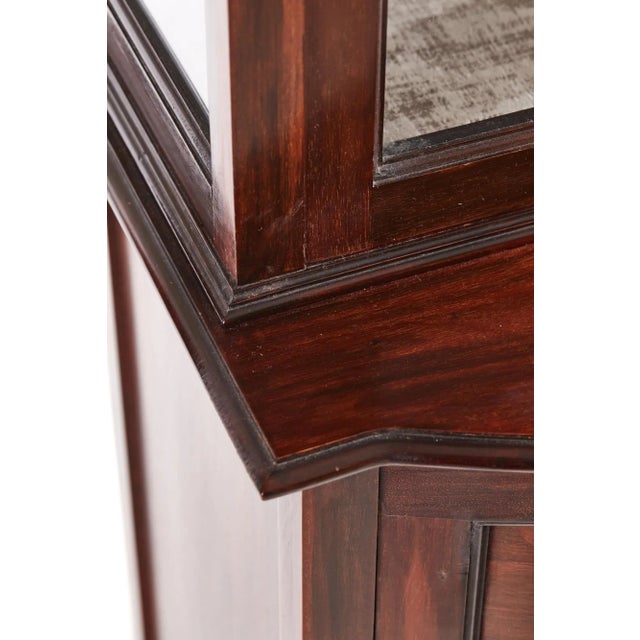 Antique Mahogany Display Cabinet For Sale - Image 6 of 13