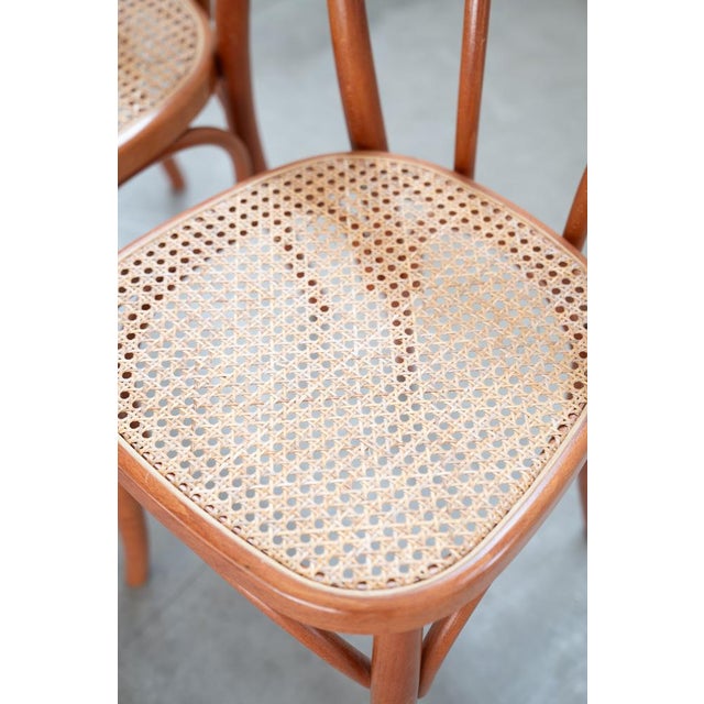 1990s Chairs in Curved Beech Wood and Straw Seat, 1990s, Set of 6 For Sale - Image 5 of 17