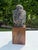 Mid-Century Modern Vintage Asian Bronze Buddha Head on Wood Pedestal For Sale - Image 3 of 12