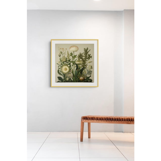 Dark Green Antique Botanical Garden Study No. 3 - Natural History Fine Art Print For Sale - Image 4 of 4