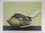 Jean-Paul Donadini, Le cygne et le coquillage, Lithograph For Sale