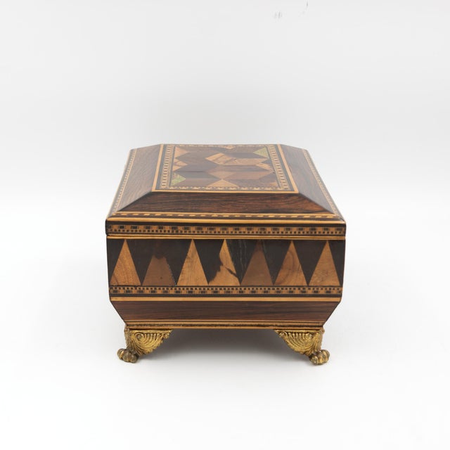 Wood Regency Rosewood Specimen Box on Gilt Lion Paw Feet Circa 1810 For Sale - Image 7 of 16