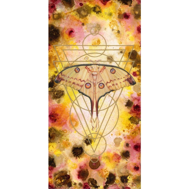 This artwork features a detailed depiction of a moth, centrally positioned against a vibrant background of warm pinks,...