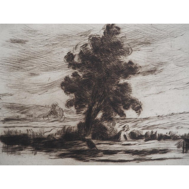 Maximilien Luce, Bucolic Landscape (Yonne), 1910, Original Etching For Sale - Image 4 of 6