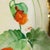 This is a hand painted Richard Ginori platter with orange and pink poppies and gold trim. The platter is signed as shown....