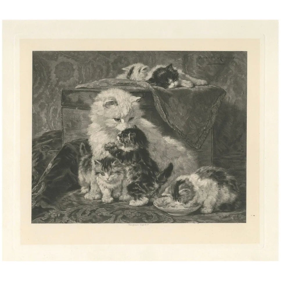 Henriette Ronner, Mother's Love: Cats and Kittens, 1894, Print