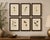 Small-Format Butterfly Engravings with Botanical Studies, 1835 This elegant set of six hand-colored butterfly engravings...