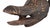 Early 20th Century Bwa or Bobo Animal Mask Burkina Faso For Sale In Denver - Image 6 of 6