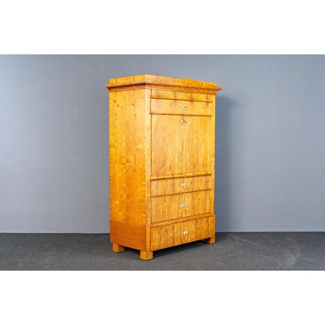 Biedermeier Birch & Elm Secretary For Sale - Image 5 of 18