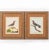 Birds: Antique Copperplate Engravings of by François Martinet - Set of Four For Sale - Image 4 of 14