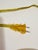 Late 20th Century Maitland-Smith Figural Frog Umbrella Lamp-Stone Based-Mosaic Shade-Sculptural Lighting For Sale - Image 11 of 11