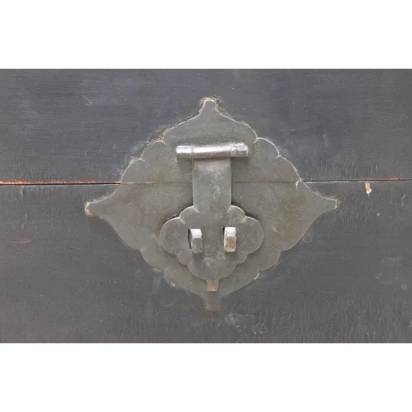 Black Black Leather Traveler's Trunk For Sale - Image 8 of 12