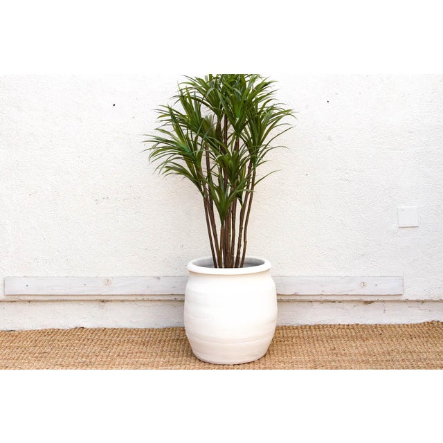 Soft, curvilinear, and rooted in tradition, this Paros Urn brings the quintessential charm of a Greek courtyard to the...