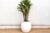 Soft, curvilinear, and rooted in tradition, this Paros Urn brings the quintessential charm of a Greek courtyard to the...