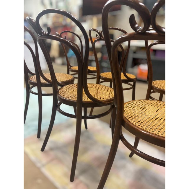 Chairs from Jacob and Josef Kohn, 1890s, Set of 6 For Sale - Image 5 of 8