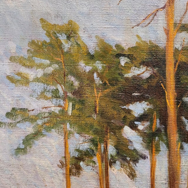 French School Artist, Pine Forest, 20th Century, Oil on Canvas, Framed For Sale - Image 13 of 18