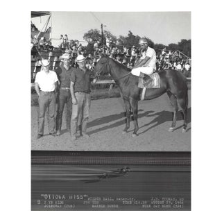1964 Ottawa Miss Horse Racing Winner's Circle Photograph For Sale