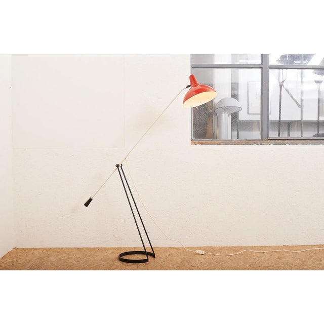 Tivoli Grasshopper Floor Lamp by Floris Fiedeldij for Artimeta, 1956 For Sale - Image 9 of 11