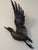 French Jacques Lerebourg 1979 Duck Sculpture For Sale - Image 10 of 16