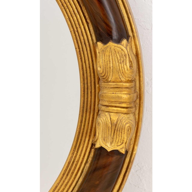 Regency Style Walnut and Giltwood Framed Circular Convex Mirror For Sale - Image 4 of 7