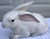White Large Italian Ceramic White Bunny Rabbit Statue for Intrada For Sale - Image 8 of 13