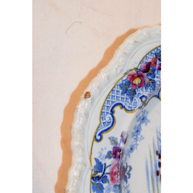 19th Century Pair of 19th Century Ridgway Sandwich Plates For Sale - Image 5 of 9