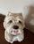 Vintage West Highland Terrier Sculpture For Sale - Image 10 of 12