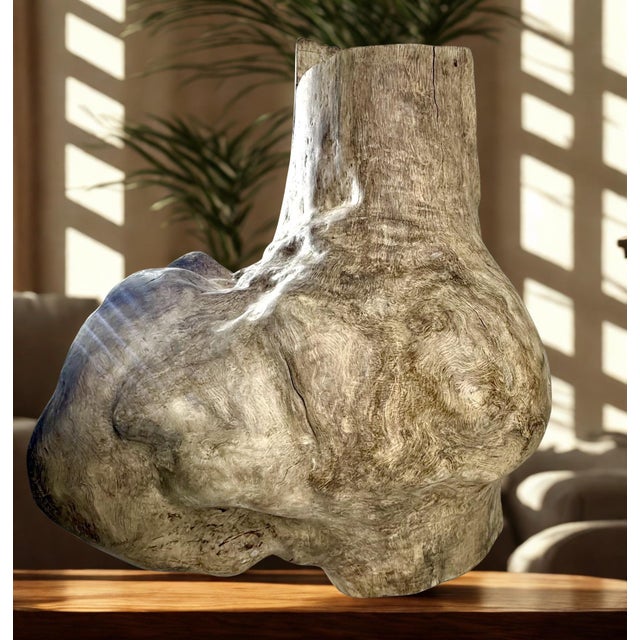 Contemporary Large Burl Wood Sculpture- Natural Burl Art- Organic Modern Decor- One of a Kind For Sale - Image 3 of 5
