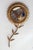 Mid-Century Modern Hand-Crafted Copper and Wood Sunburst Mirror, 1950s For Sale - Image 3 of 10