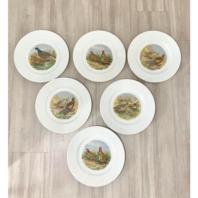 Ceramic 10" Vintage Wildlife Pheasant Porcelain Salad Plates by Heinrich Germany - Set of 6 For Sale - Image 7 of 7