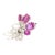 Agl Certified No Heat Ceylon Pink Sapphire and Diamond Platinum Floral Brooch For Sale - Image 4 of 8