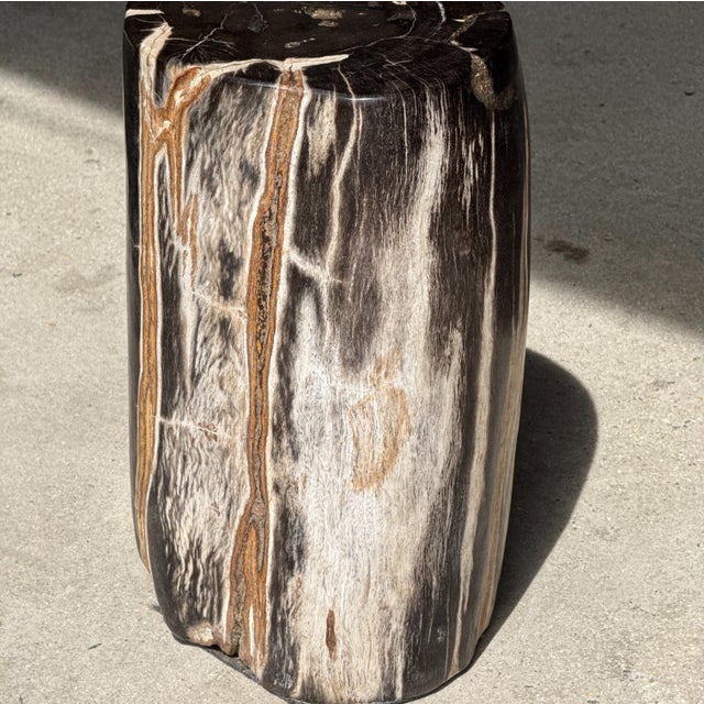 Side Table in Black Petrified Wood with White Sides and Beige Striations, 1980s For Sale - Image 12 of 18