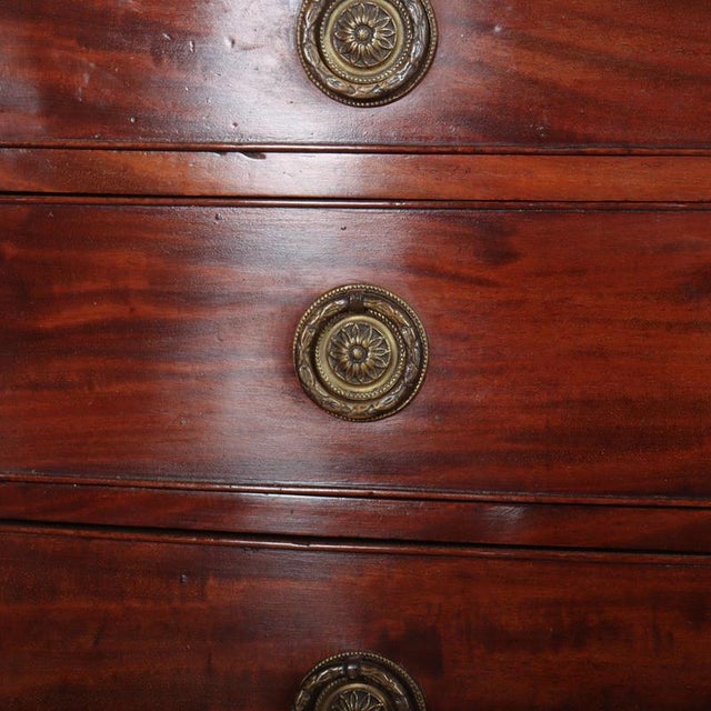Wood English Bowfront Chest of Drawers For Sale - Image 7 of 10