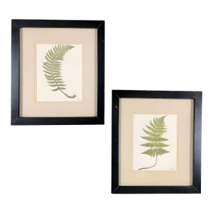 Victorian 1885 English Chromolithograph Fern Pair, Framed