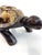 Ceramic Vintage Mid Century Gilt-Finish Tortoise Sculpture, Hollywood Regency Style Decorative Object For Sale - Image 7 of 15