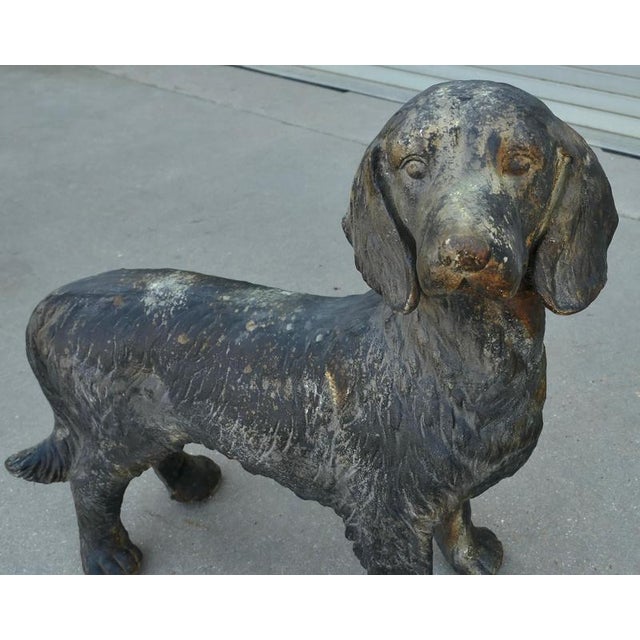 French Hunting Spaniel Standing Statue, 1920s For Sale - Image 4 of 11