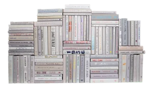 Decorative Books - Marble Book Wall - Set of 100 Grey Books